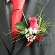 RED ROSE BUTTONHOLE 2